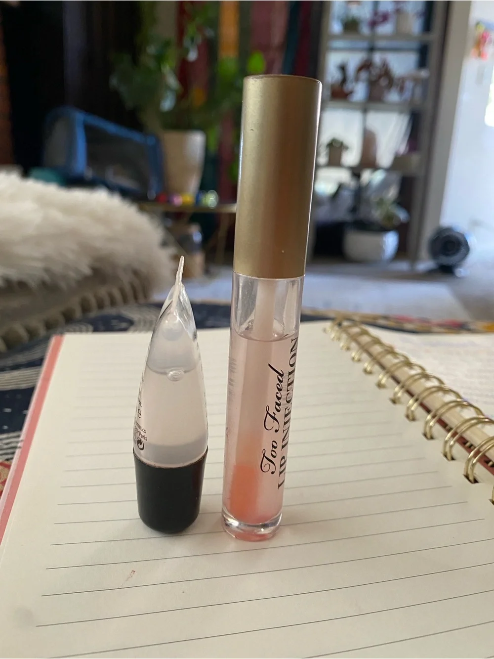 Lip plumper/lip gloss bundle!